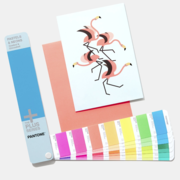 Pantone Pastels & Neon Colour Guide (Coated/Uncoated) is Now Available
