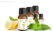 Essential Oils in UK | Essential Oil | Herbal Oil in UK | Aromatherapy
