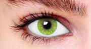 Beauty Forever London Emerald Green Tone 1 Contact Lenses (90 days)