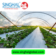 Advanced Greenhouse Film Solutions for Optimal Plant Growth